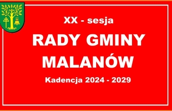 Sesja - grafika (61)